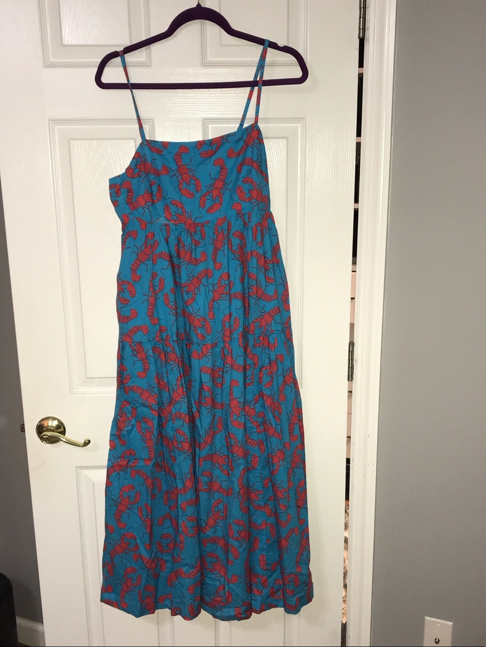J. Crew Teal Maxi Dress with Red Lobster Print